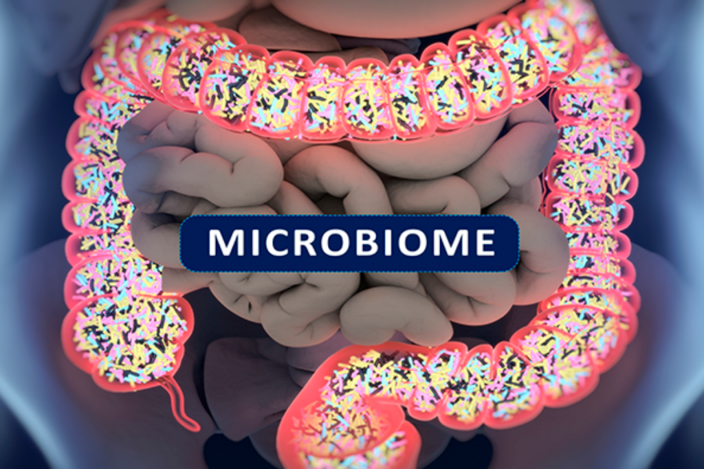 Concepto de microbioma intestinal.  